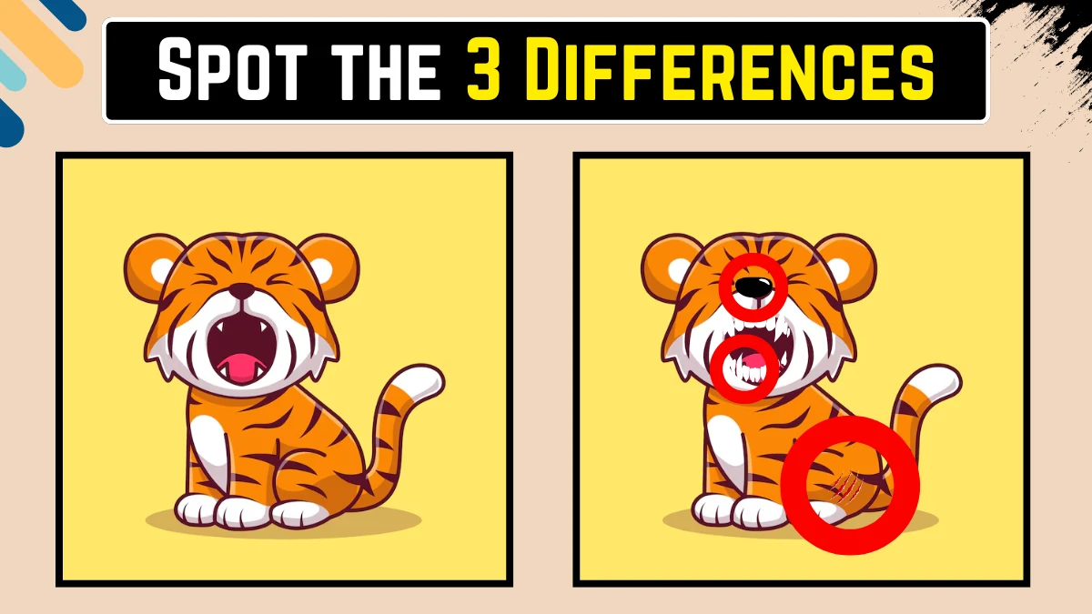 Optical Illusion 8 Seconds Challenge: Only 8K Vision Can Spot the 3 Differences in this Tiger Image