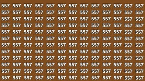 Optical Illusion 8 Seconds Challenge: Only People with Hawk Eyes Can spot the Number 537