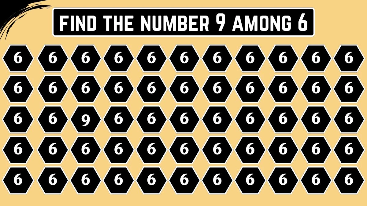 Optical Illusion: Within 5 Seconds Spot The Number 9 among 6