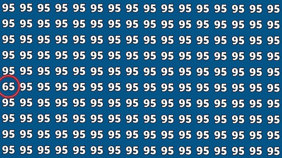 Optical Illusion: Within 8 Seconds Spot The Number 65 among 95