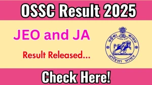 OSSC JEO and JA Result 2025 Out at ossc.gov.in, Direct Link to Download Result PDF Here