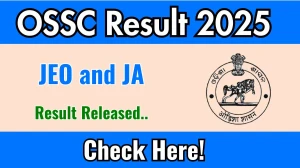 OSSC JEO and JA Result 2025 Out at ossc.gov.in, Direct Link to Download Result PDF Here
