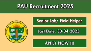 PAU Senior Lab/ Field Helper Recruitment 2025 - Apply Offline Before April 30 PAU Senior Lab/ Field Helper Recruitment 2025 - Apply Offline Before April 30