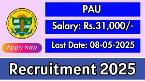 PAU Senior Research Fellow Recruitment 2025 - Apply Offline for 1 Posts