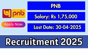 PNB Internal Ombudsman Recruitment 2025 - Apply Online for 02 Posts Before April 30