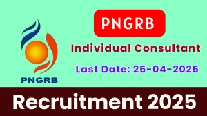 PNGRB Individual Consultant Recruitment 2025 - Apply Offline
