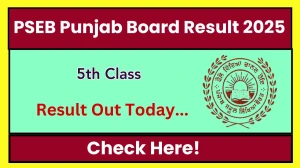 PSEB Punjab Board 5th Result 2025 Out Today at pseb.ac.in How to check Results Here PSEB Punjab Board 5th Result 2025 Out Today at pseb.ac.in How to check Results Here