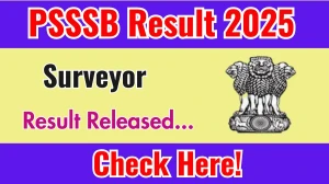 PSSSB Surveyor Result 2025 Announced. Direct Link to Check PSSSB Surveyor Result 2025 sssb.punjab.gov.in PSSSB Surveyor Result 2025 Announced. Direct Link to Check PSSSB Surveyor Result 2025 sssb.punjab.gov.in