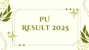 PU Result 2025 Released at puchd.ac.in Direct Link to Download 1st, 3rd, 5th, 6th, 8th Semester Result