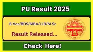 PU Result 2025 Released at puchd.ac.in Direct Link to Download 1st, 3rd, 5th, 6th Semester Result