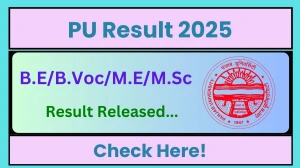 PU Result 2025 Released at puchd.ac.in Direct Link to Download 2nd, 3rd, 5th, 6th Semester Result