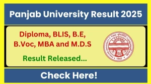 PU Result 2025 Released at puchd.ac.in Direct Link to Download ODD Semester Result