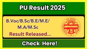 PU Result 2025 Released at puexam.in Direct Link to Download 1st, 2nd, 3rd, 5th, 7th Semester Result