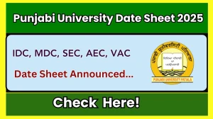 Punjabi University Date Sheet 2025 Out @ punjabiuniversity.ac.in Details Here
