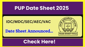PUP Date Sheet 2025 Announced @ pupexamination.ac.in Details Here PUP Date Sheet 2025 Announced @ pupexamination.ac.in Details Here