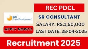 REC PDCL Sr Consultant Recruitment 2025 - Apply Offline for 01 Posts Before April 28