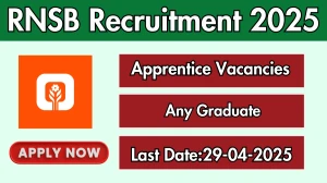 RNSB Apprentice Recruitment 2025 - Apply Online RNSB Apprentice Recruitment 2025 - Apply Online