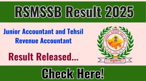 RSMSSB Junior Accountant and Tehsil Revenue Accountant Result 2025 Out at rsmssb.rajasthan.gov.in, Direct Link to Download Result PDF Here
