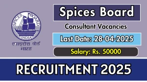 Spices Board Consultant Recruitment 2025 - Apply Offline for 01 Posts Before April 28 Spices Board Consultant Recruitment 2025 - Apply Offline for 01 Posts Before April 28
