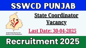 SSWCD Punjab State Coordinator Recruitment 2025 - Apply Online for 01 State Coordinator Posts