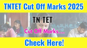 TNTET 2025: Check Your Cut Off Marks at Official Website