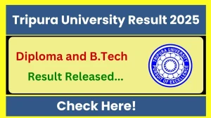 Tripura University Result 2025 Out at tripurauniv.ac.in Direct Link to Download 5th and 7th Semester Result