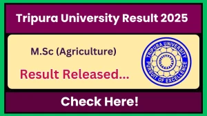 Tripura University Result 2025 Released at tripurauniv.ac.in Direct Link to Download 4th Semester Result