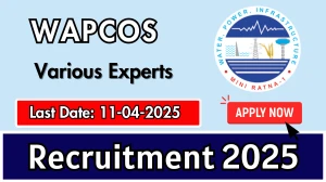 WAPCOS Various Experts Recruitment 2025 - Apply Offline for 29 Electrical Expert, Mechanical Expert and Other Posts