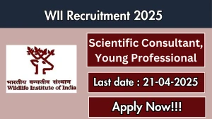 WII Job Vacancy 2025, Apply Offline for 03 Scientific Consultant, Young Professional Posts