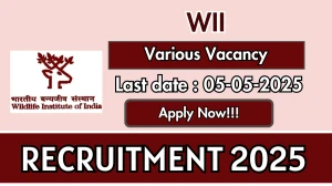 WII Recruitment 2025 - Apply Offline for 05 Project Associate, Project Scientist and More Posts Before May 05