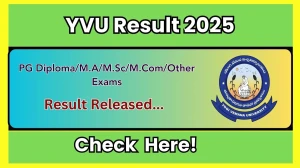 YVU Result 2025 Released at yvu.edu.in Direct Link to Download 1st, 3rd Semester Result