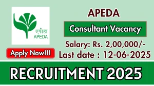 APEDA Consultant Recruitment 2025 - Apply Offline