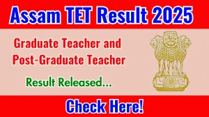 Assam TET Result 2025 Out at madhyamik.assam.gov.in, Direct Link to Download Assam TET cum Result PDF Here