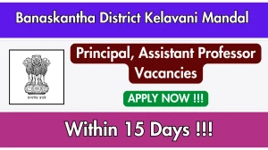 Banaskantha District Kelavani Mandal Recruitment 2025 - Apply Offline for 26 Principal, Assistant Professor Posts