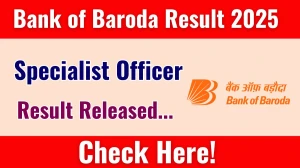 Bank of Baroda SO Result 2025 Out at bankofbaroda.in, Direct Link to Download Result PDF Here