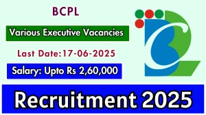 BCPL Various Executive Recruitment 2025 - Apply Online for 27 Posts BCPL Various Executive Recruitment 2025 - Apply Online for 27 Posts