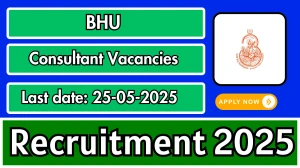 BHU Consultant Recruitment 2025 - Apply Offline