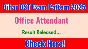 Bihar DST Office Attendant Exam Pattern 2025