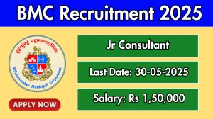 BMC Jr Consultant Recruitment 2025 - Apply Offline BMC Jr Consultant Recruitment 2025 - Apply Offline