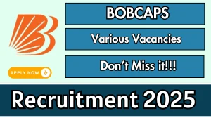 BOBCAPS Recruitment 2025 - Apply Offline for Head, AVP and Other Posts