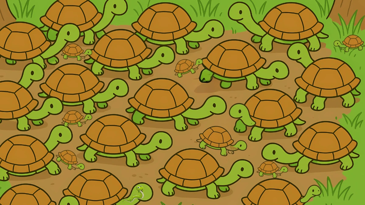 Brain Teaser 5 Secs Challenge: Can you find the Hidden Snake among Turtle