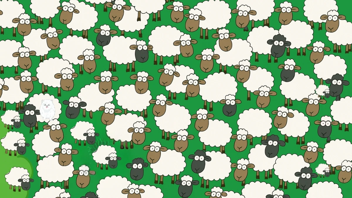 Brain Teaser 6 Secs Challenge: Can you find the Hidden Dog among Sheep