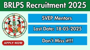 BRLPS SVEP Mentors Recruitment 2025 - Apply Online for 25 Posts