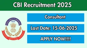 CBI Consultant Recruitment 2025 - Apply Offline for 03 Posts