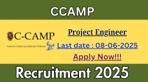 CCAMP Project Engineer Recruitment 2025 - Apply Offline CCAMP Project Engineer Recruitment 2025 - Apply Offline