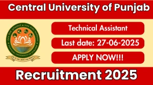Central University of Punjab Technical Assistant Recruitment 2025 - Apply Offline