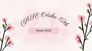 CHSE Odisha 12th Result 2025 Out at chseodisha.nic.in How to check Results Here