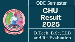 CHU Result 2025 Released at cuh.ac.in Direct Link to Download ODD Semester Result