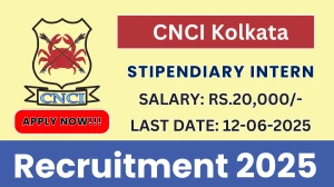 CNCI Kolkata Stipendiary Intern Recruitment 2025 - Apply Offline CNCI Kolkata Stipendiary Intern Recruitment 2025 - Apply Offline