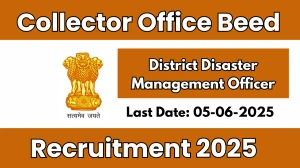 Collector Office Beed District Disaster Management Officer Recruitment 2025 - Apply Offline